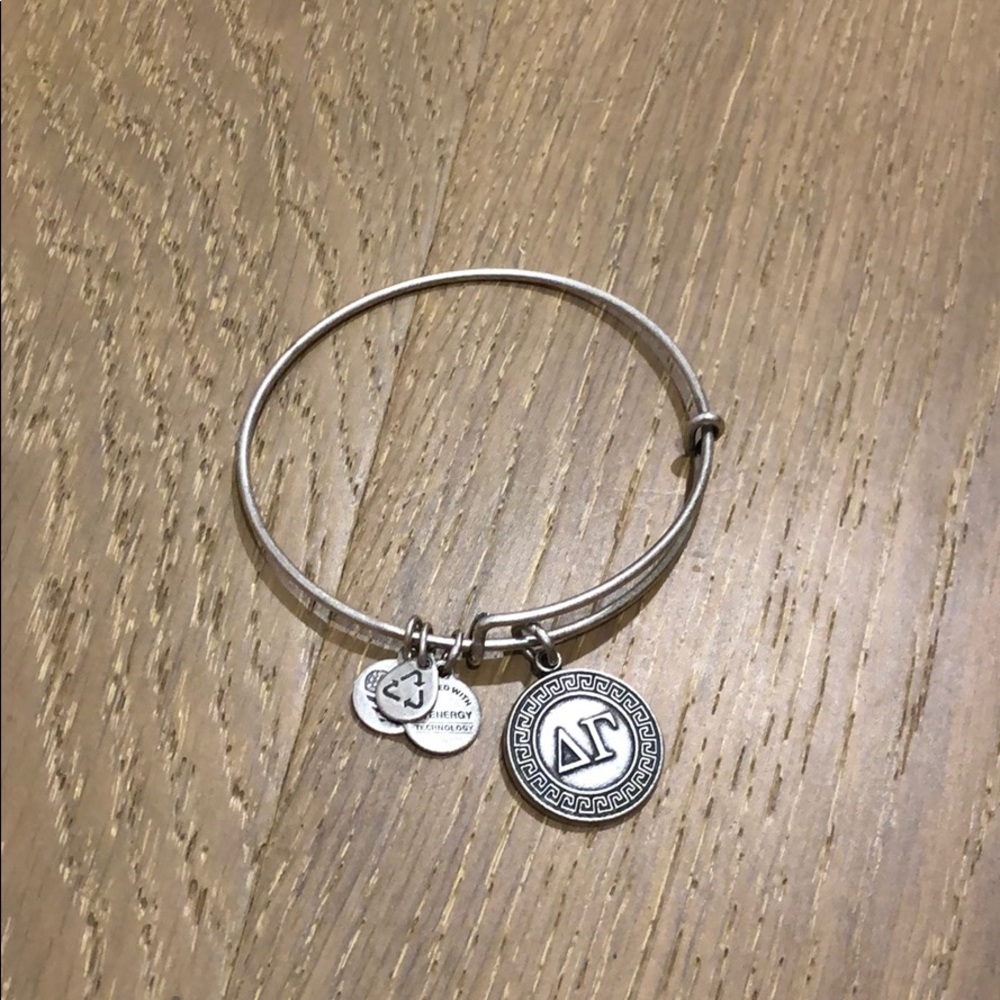 Alex and Ani Delta Gamma Bracelet